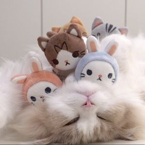 Meet your Posher, Veronica